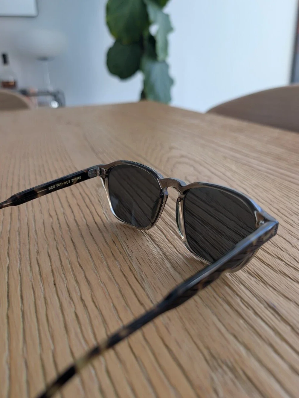 Exclusive Raen x Huckberry limited collab Aren Sunglasses